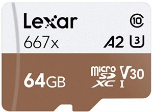 Lexar LSDMI64GBNA667A Professional