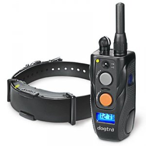 Dogtra ARC Remote Training Collar System