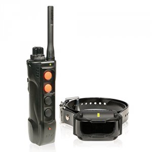 Dogtra EDGE-RT Edge Expandable Remote Training Collar System