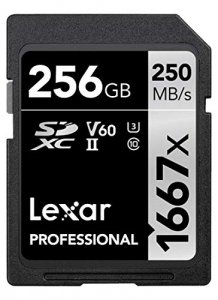 Lexar LSD256CBNA1667 Media