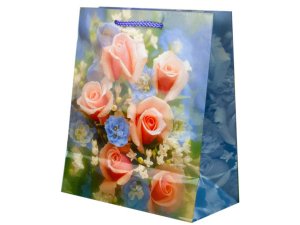 Bulk AF532 Roses Medium Gift Bag