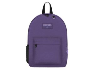 Bulk DD213 16.5 Inch Backpack In Purple