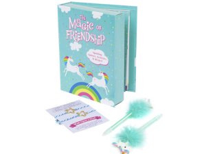 Bulk CH297 The Magic Of Friendship Activity Set