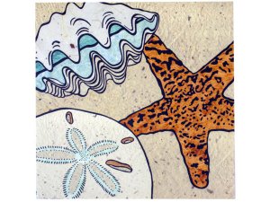 Bulk CS091 Ocean Escapade Sticky Note Set