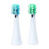 Toothbrush Replacement Heads