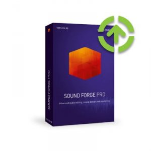 Magix MGX-ANR008837ESD-U1 Magix Sound Forge Pro 13 (upgrade) Esd