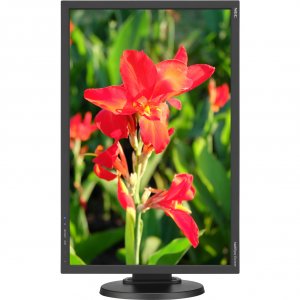 Nec E245WMI-BK E245wmi-bk 24 Desktop Monitor W Ips Panel, Integrated S