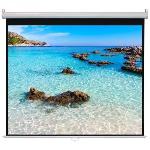 Hamiltonbuhl WS-W4987 100inch Diag. (49x87) Manual Projector Screen, H