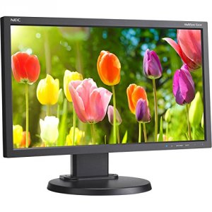 Nec E203W-BK 20  Multisync 1600 X 900 Dp Dvi Vga Tn Led Monitor E203w-