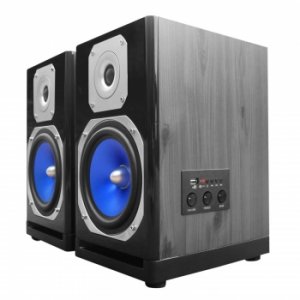 Technical MB6000 Passive Usb Studio Monitors