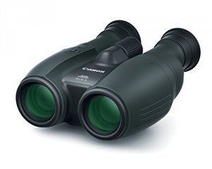 Canon 1372C002 - Binoculars 14 X 32 Is - Image Stabilized - Porro