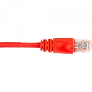 CAT6PC-005-RD-10PAK