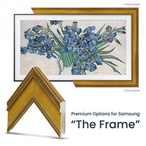 Frame FRM-SF-D5179-49 Antique Gold Tv Frame