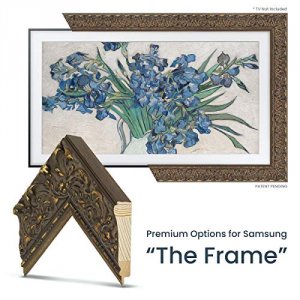 Frame FRM-SF-D5085-49 Tuscan Antique Gold Tv Frame