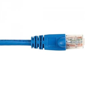 CAT5EPC-005-BL-25PAK