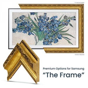 Frame FRM-SF-D1009-49 Ornate Gold Tv Frame