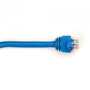 CAT5EPC-002-BL-5PAK