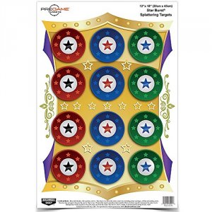 Hawk 35572 Birchwood Casey Pregame Star Burst Reactive Shooting Target