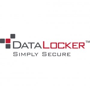 Datalocker SS016M Safestickmanagedsecureusb 16gb