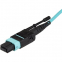 Startech 5BM955 1m 3 Ft Mpo  Mtp Fiber Optic Cable - Plenum-rated Mtp 