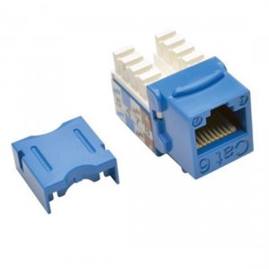 Tripp N238-025-BL Tripp-lite Accessory N238-025-bl Cat6cat5e Rj45 Fema