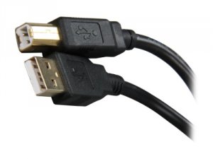 Rosewill RCAB-11001 Cb Rcab-11001 Usb2.0 A Male To B Male Cable Gold P