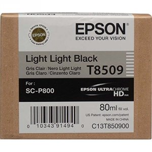 Original Epson t850900 T850 Ultrachrome Hd Light Blk