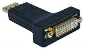 Qvs DPDVI-MF Video Adapter - 1 X Displayport Male Digital Audio-video 