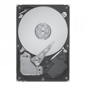 Seagate ST9300605SS Tdsourcing Enterprise Performance 10k Hdd