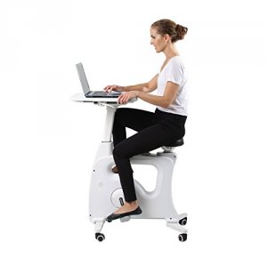 Loctek V9 Flexispot  Desk Exercise Bike