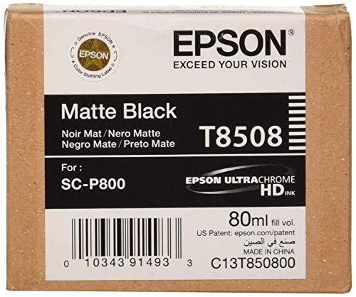 EPSON-t850800