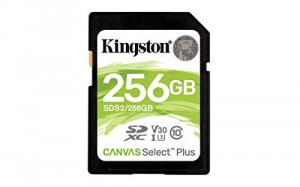 Kingston SDS2/256GB Technology