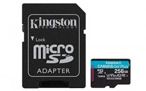 Kingston SDCG3/256GB 256gb Microsdxc Canvas Go Plus 170r A2