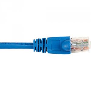 CAT6PC-025-BL-10PAK