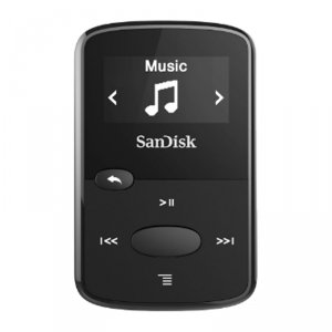 SanDisk-ZP2119