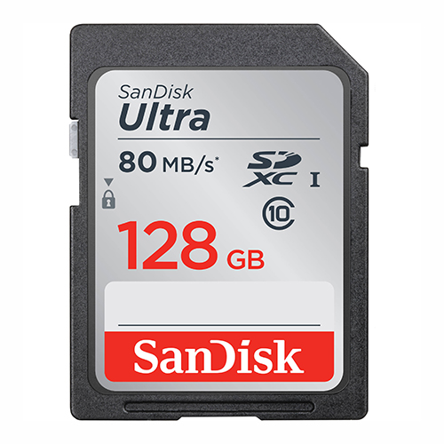 SanDisk-SDSDUNR-256G-AN6IN