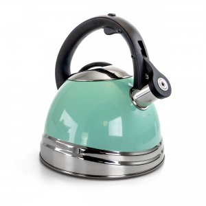 Mr 124937.01 Mr. Coffee 2.5 Quart Stainless Steel Whistling Tea Kettle