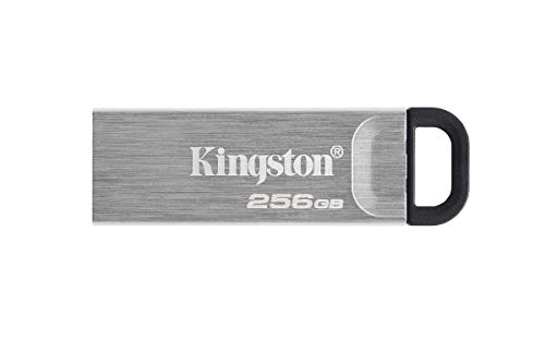 KINGSTON-DTKN/256GB