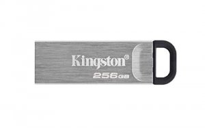 Kingston DTKN/256GB 256g Usb3.2 Gen1 Data Traveler