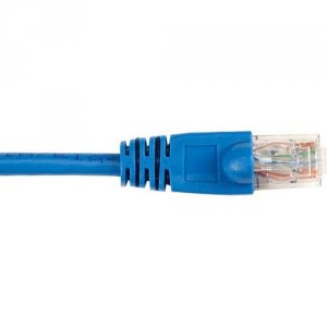 CAT6PC-025-BL-25PAK