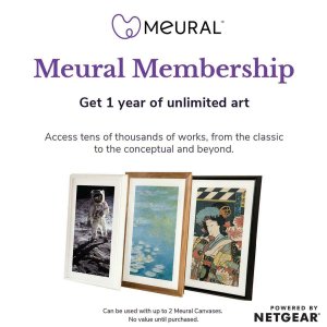 Netgear MCMYA-10000S Meural Annual Membership Card