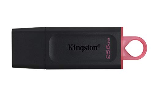 KINGSTON-DTX256GB