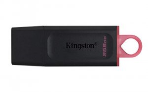 Kingston DTX/256GB 256gb Usb3.2 Gen1 Datatraveler