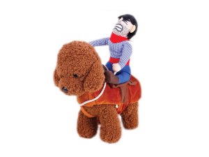 Bulk VR034 Horse Riding Cowboy Pet Costume