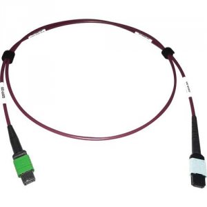 Tripp N846D-01M-16CMG Cables And Connecti