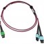 Tripp N846D-03M-16DMG Cables And Connecti