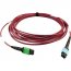 Tripp N846D-05M-16CMG Cables And Connecti