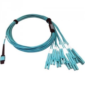 Tripp N846D-03M-24CAQ Cables And Connecti