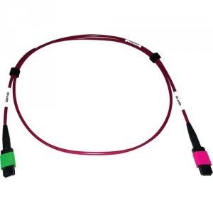 Tripp N846D-01M-16BMG Cables And Connecti