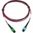 Tripp N846D-03M-16CMG Cables And Connecti